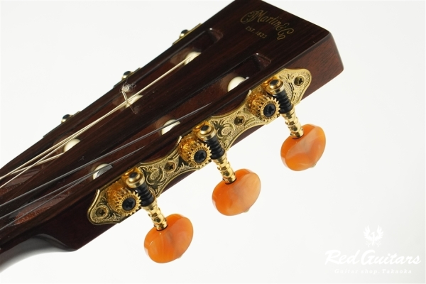 00-Nylon w/FISHMAN Matrix VT Enhance